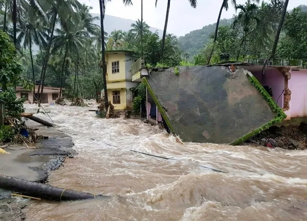 Kochi, News, Kerala, Flood, Visit, Thanal and Regency Groups visit Flood Lands