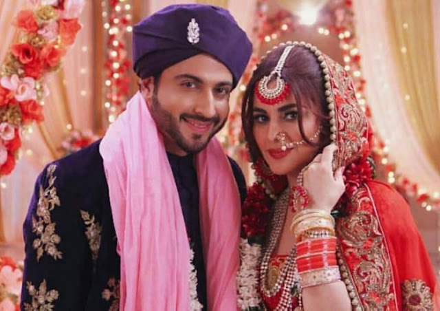 Kundali Bhagya Written Update 10 September 2020 Preeta Stops Rakhi