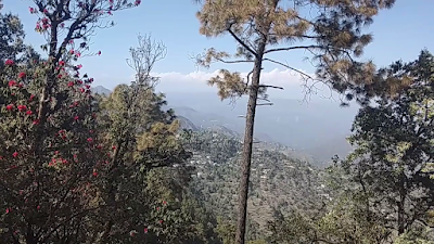 चित्र