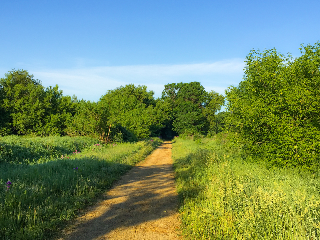 The Badger State Bike Trail Wisconsin