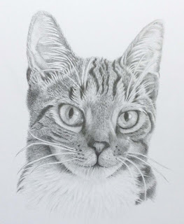 Competition: Win a pet portrait!