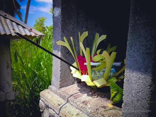 Canang Sari Traditional Balinese Daily Offerings In The Shrines Of Agricultural Area At The Village North Bali Indonesia