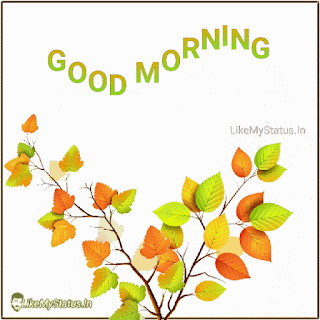Leaf-good-morning-animation