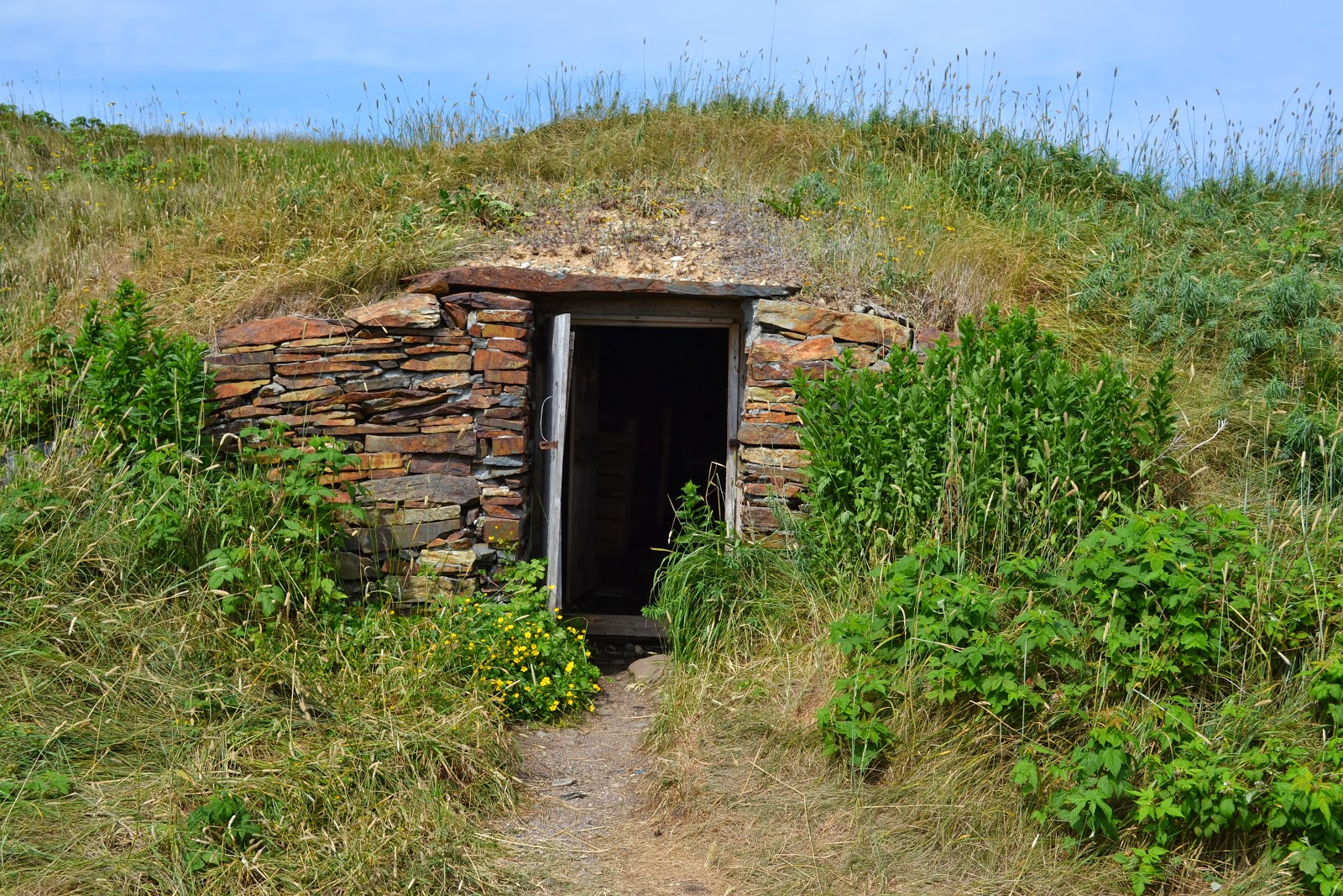 No Bad Days RVing Root Cellars & Puffins