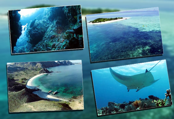 Wisata Di Taman Nasional Komodo 7 Keajaiban Dunia Indonesia Kaya