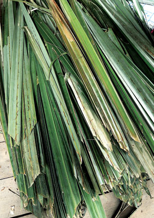 Kdk Wall Fan Installation Manual