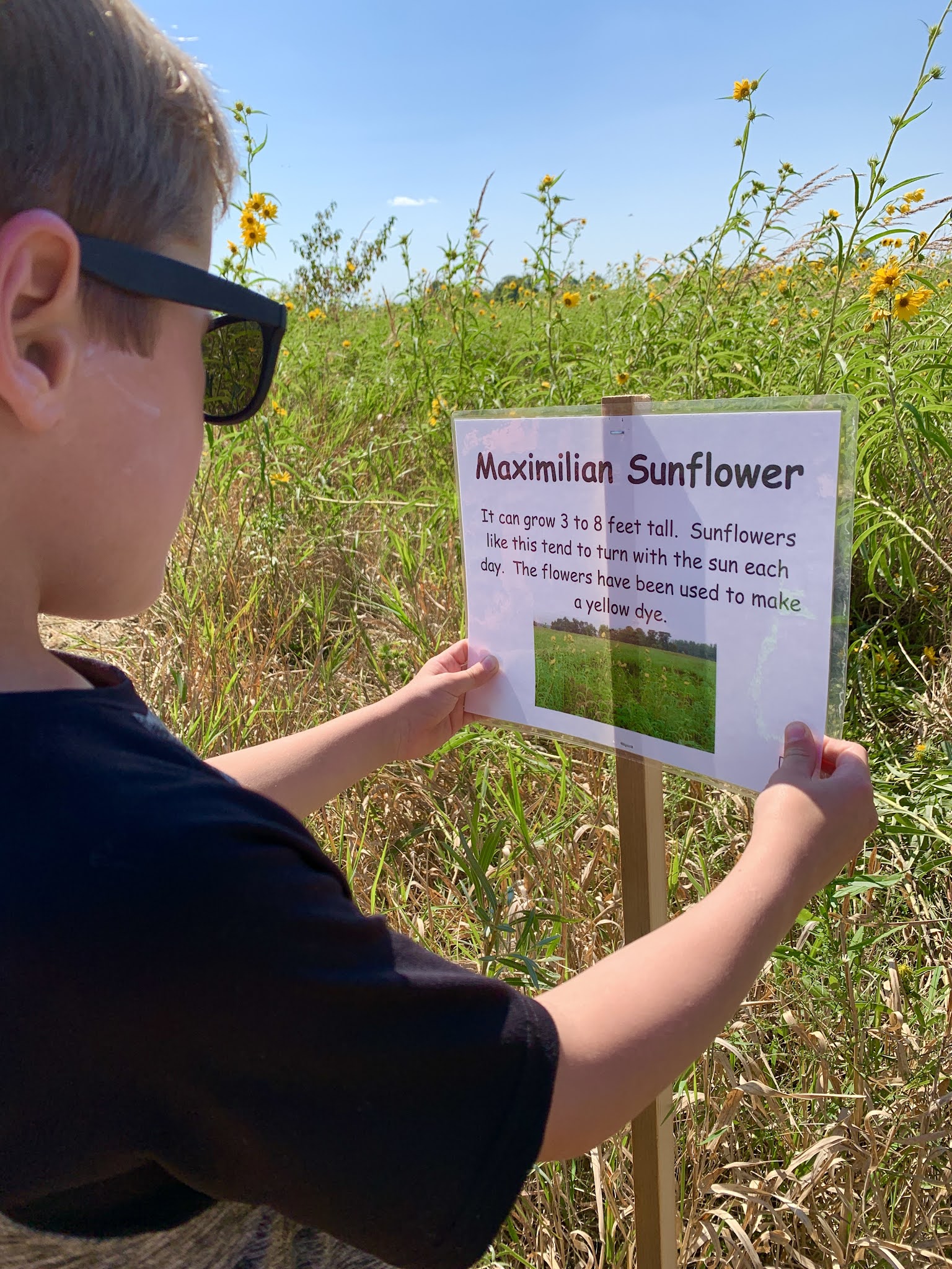 Saylorville Lake 2021 Red Feather Prairie Maze