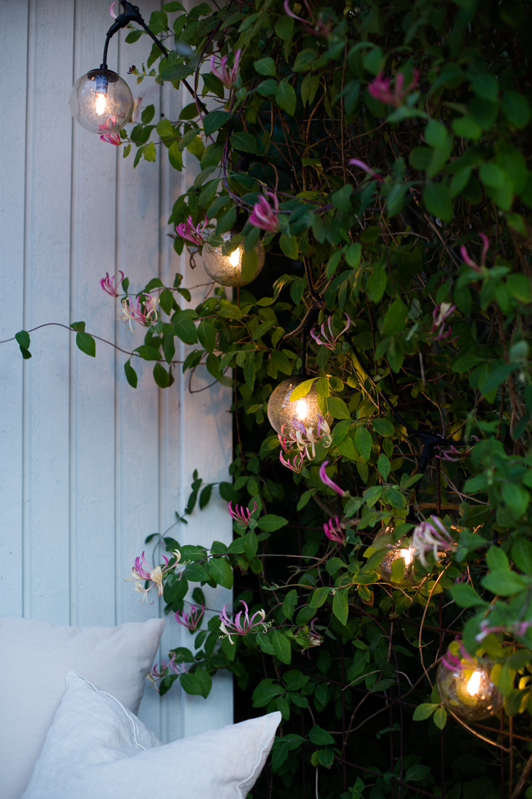 A Cosy Outdoor Oasis Gets a String Lighting Update