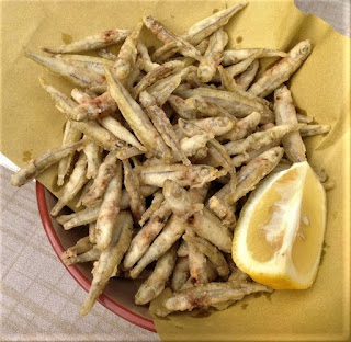 incontri online pesce gatto