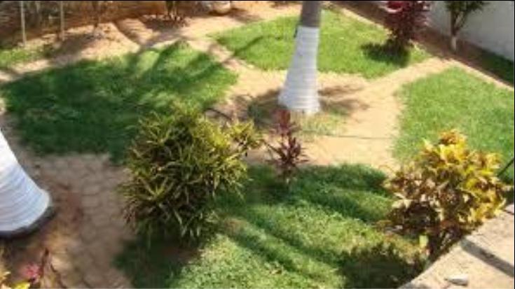 Fotos de Jardin: jardin de casa habitación