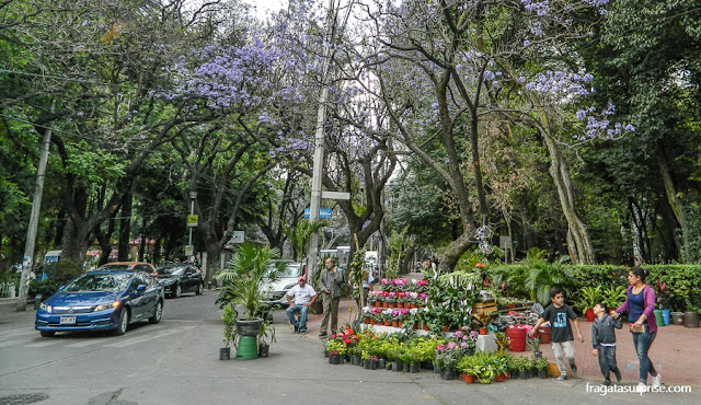 Bairro de La Condesa, Cidade do México