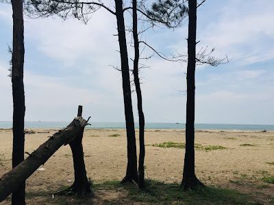 Koottayi Beach - Malappuram Tourist Place | Koottayi Padinharekkara Beach | My Dream Post