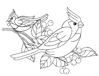 Desenhos de pássaros para colorir