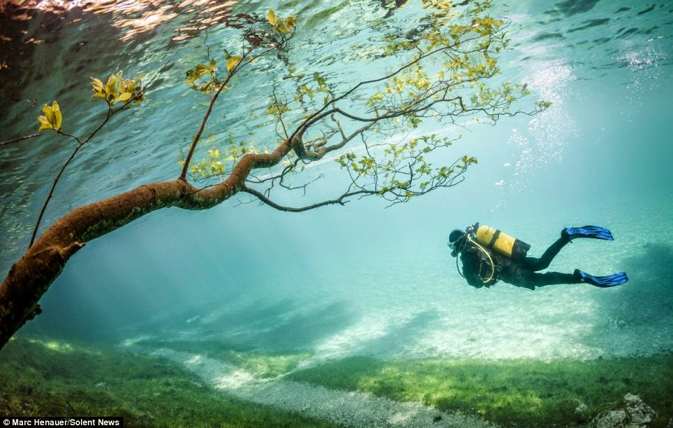 THE MAGIC OF DIVING THROUGH A SUBMERGED CITY PARK
