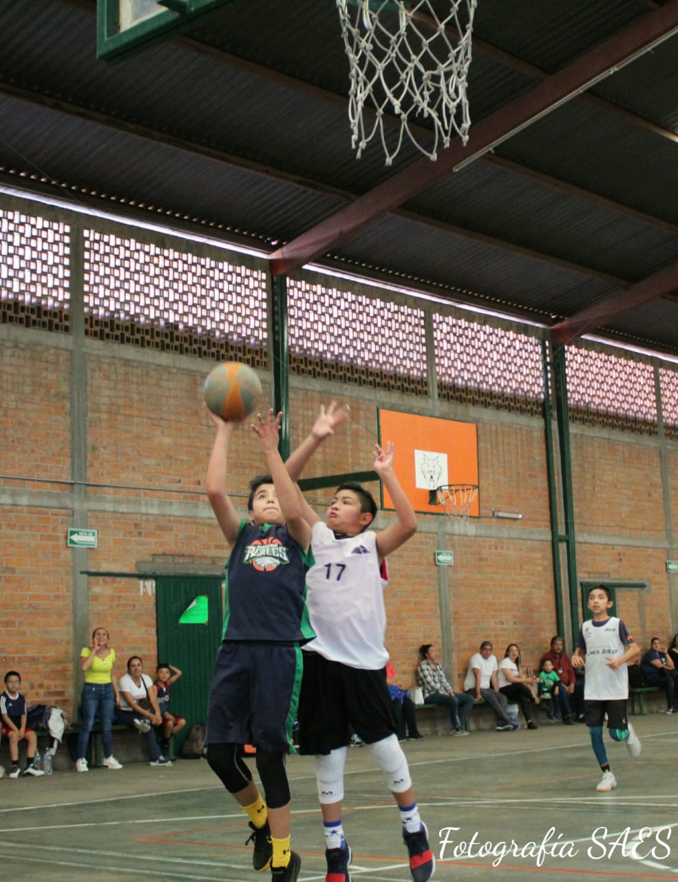 El perfil del jugador de baloncesto que pretendemos alcanzar desde un