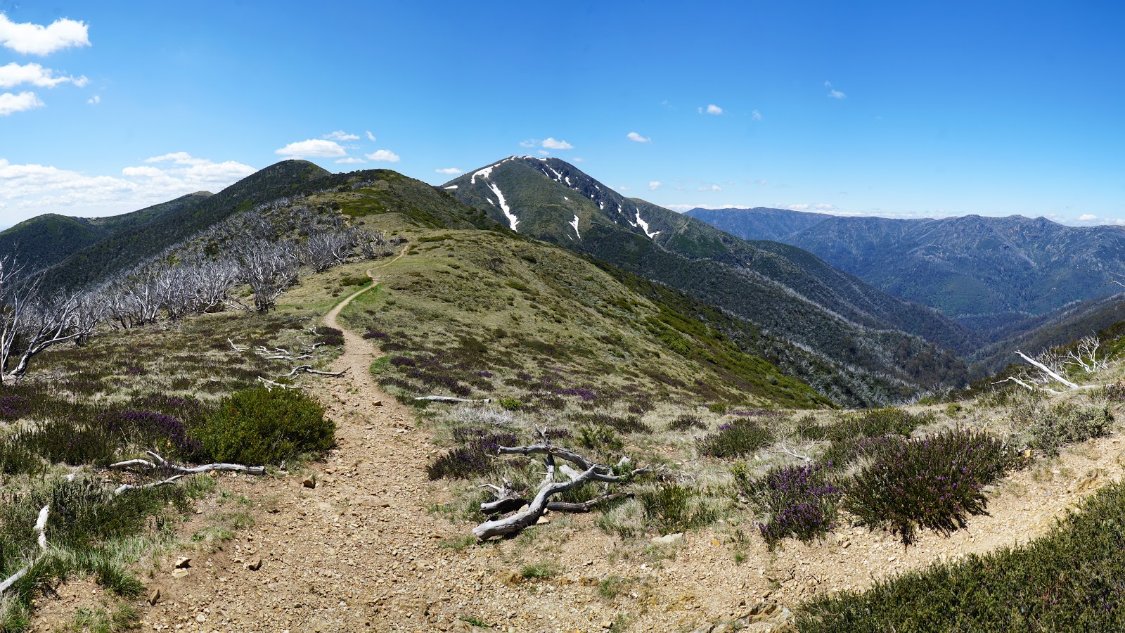 Mt Feathertop via the Razorback (Alpine NP) The Long Way's Better