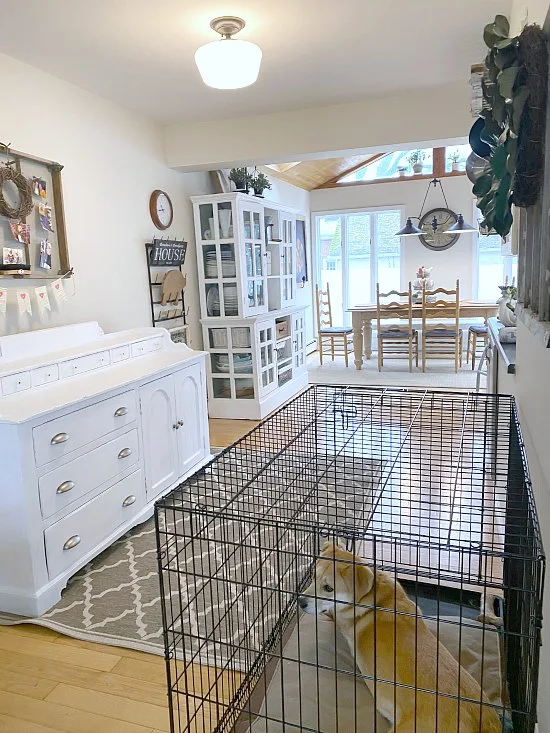 View of kitchen with sideboard and dog in crate.