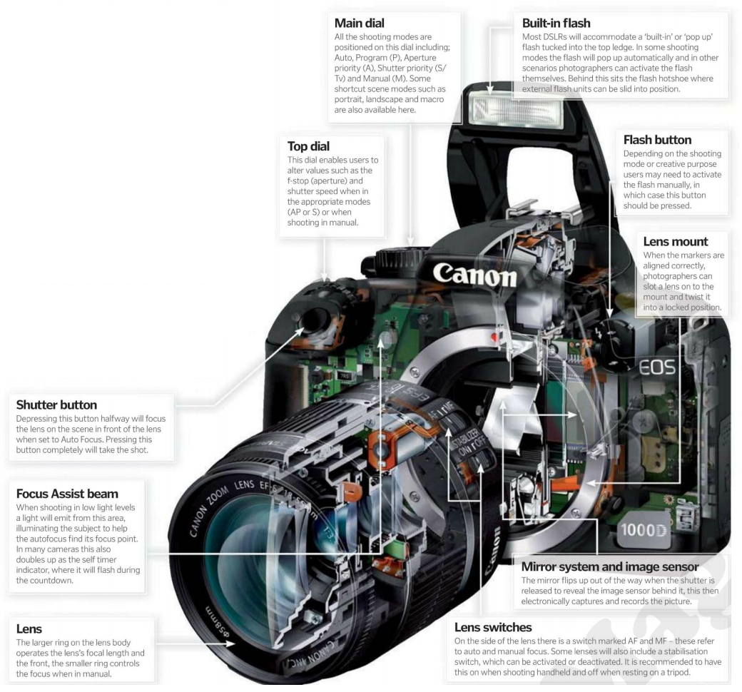 How Everything Works Curious Questions HOW DOES A CAMERA TAKE