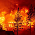 Incêndios deixam o céu da Califórnia alaranjado; veja as imagens