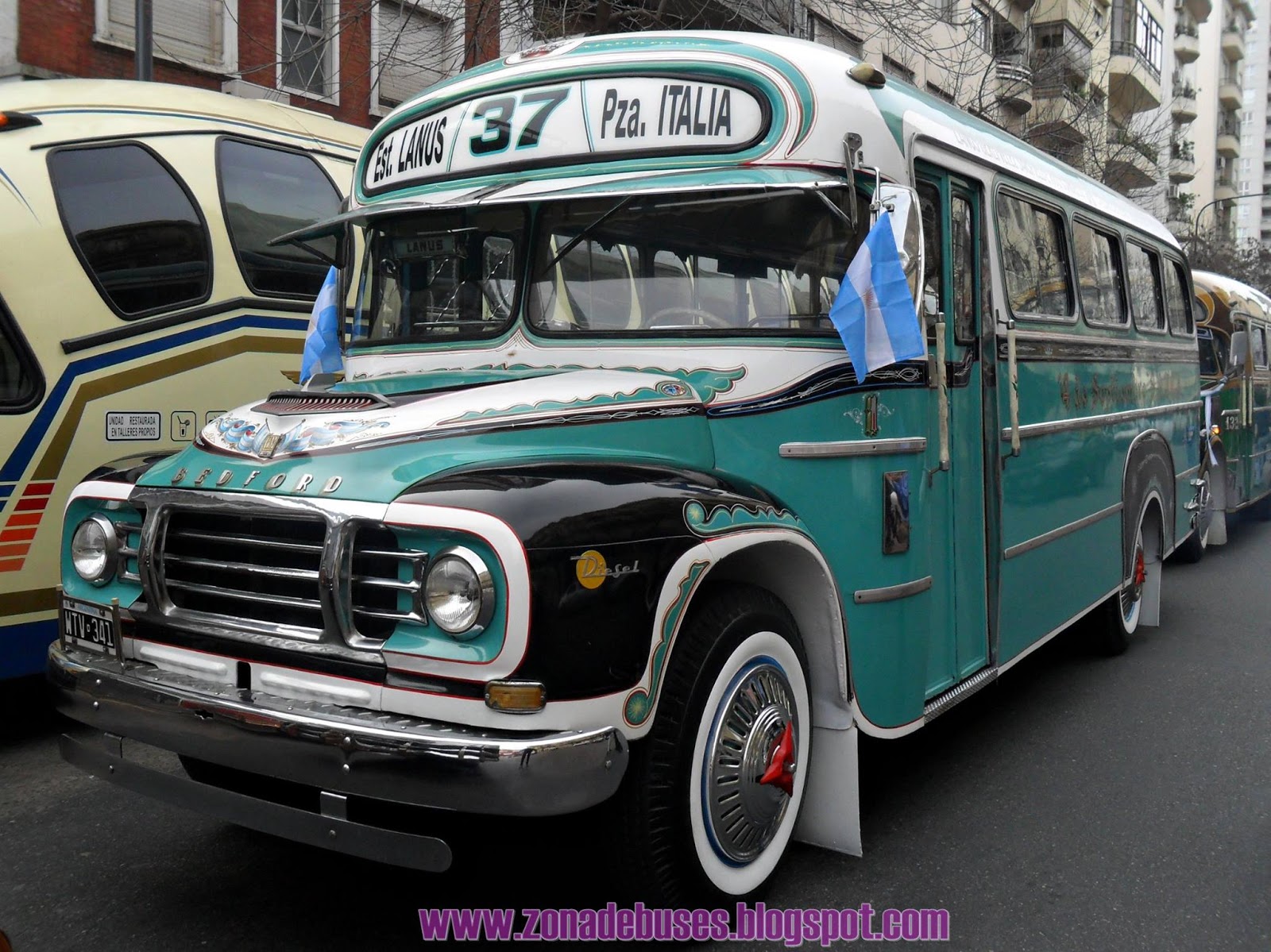 Colectibus Zona de Buses LINEA 37