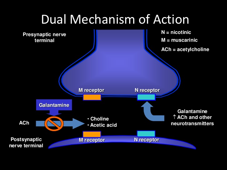 Exams And Me Galantamine
