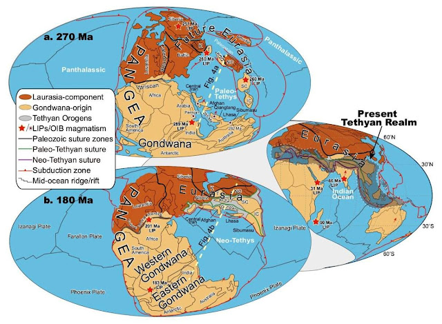 What Drives Plate Tectonics?