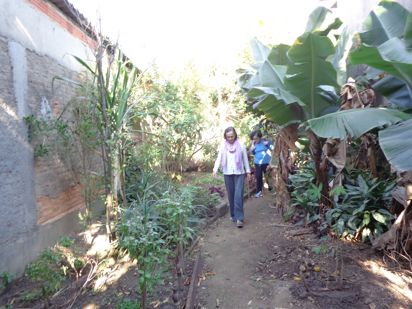 Rio Pequeno in Sao Paulo Jardim