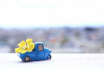 青い車のミニカーとその荷台に黄色い花