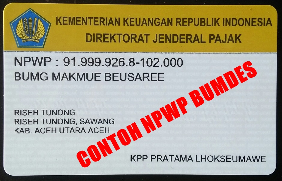 Cara Pengurusan Dan Syarat Membuat Npwp Bumdes Infodesa