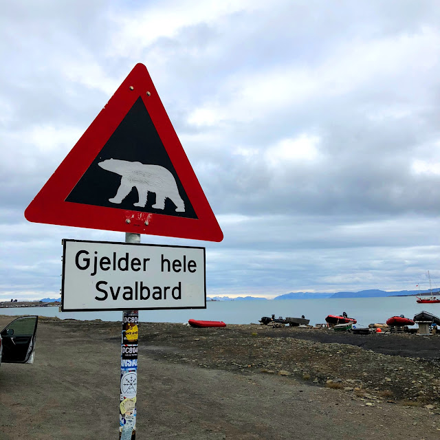 Watch out for polar bears