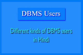DBMS Users - in Hindi