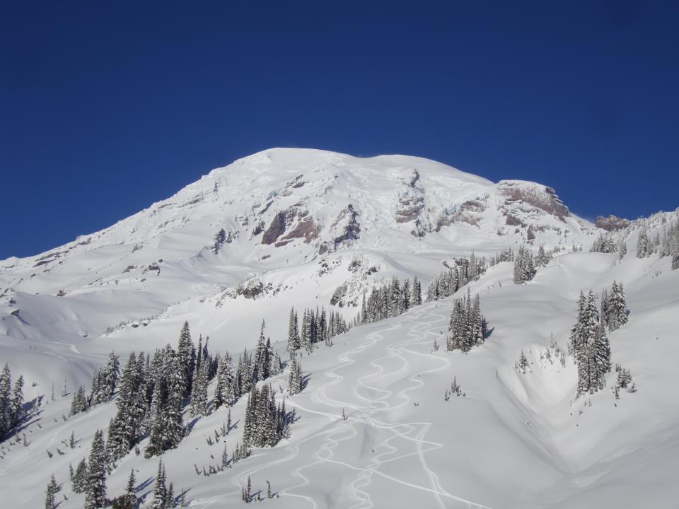 Visit Rainier Entrance Fees Waived on Martin Luther King Jr. Day at Mt. Rainier