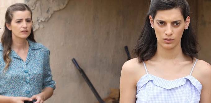 Αγριες Μέλισσες - Επόμενα επεισόδια: Η Θεοδοσία καταδίδει την Ελένη