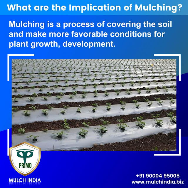 MulchIndia What is the meaning of mulching in agriculture? Mulch