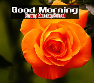 happy-monday-good-morning-in-hindi