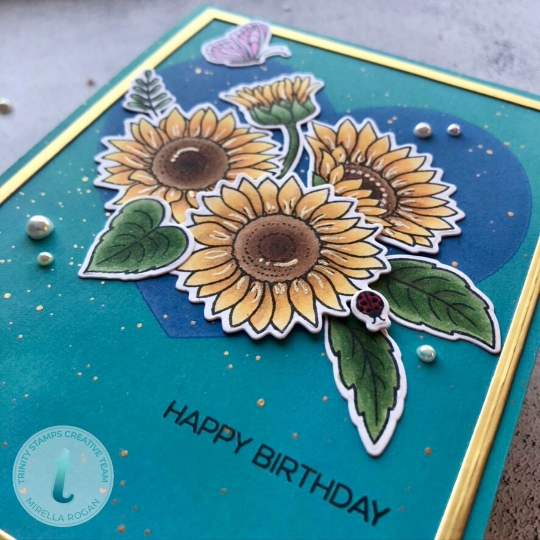 5 Amazing Flowers We Re Thankful For Shotwell Floral