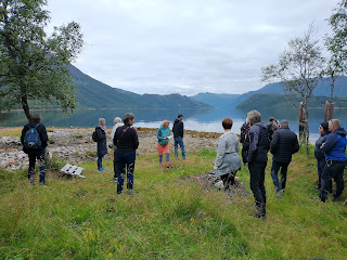 Utsikt over Gullesfjorden med Forøya
