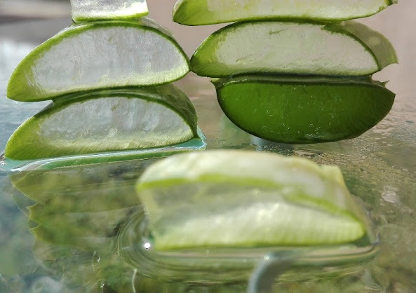 aloevera pulp