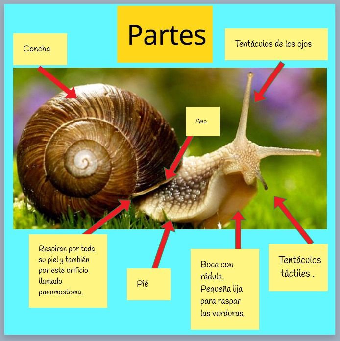 El aula Infantil de Silvia Nuestros