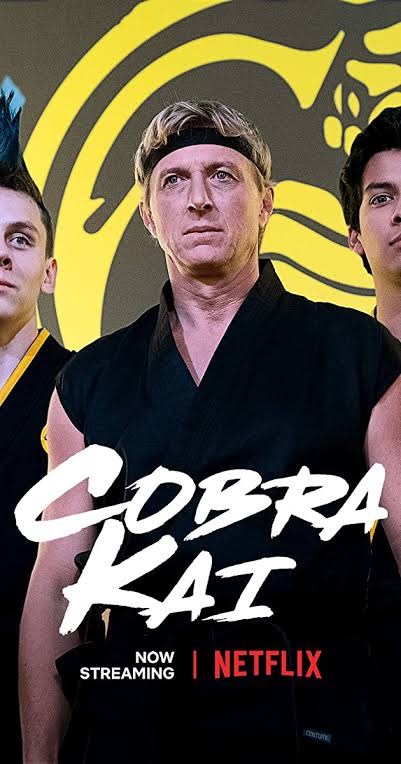 Cobra Kai Season 3 Netflix Series The Karate Kid now Streaming - wpnews18