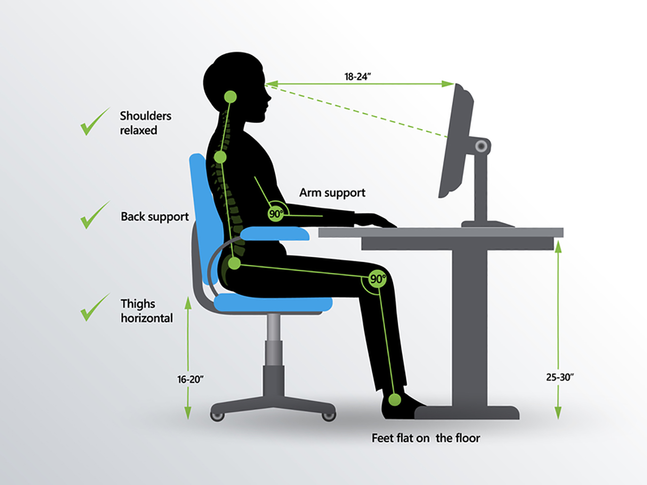 Ergonomic office tips simple set Basic Anthropometry In Interior Design