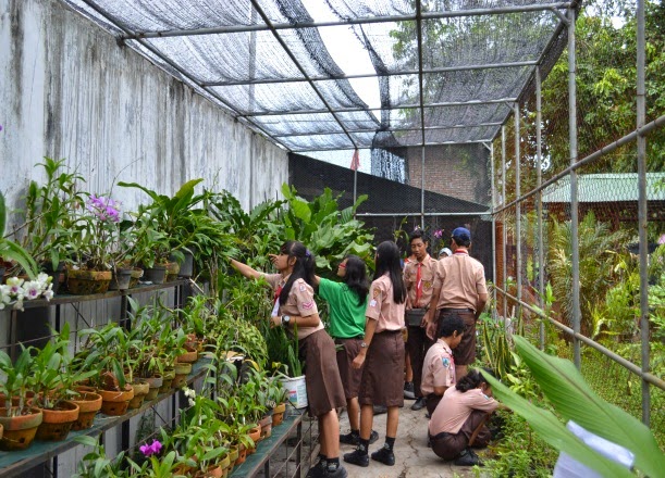 Biaya Pembuatan Green House Bambu
