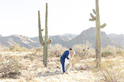 bride and groom with cactus and white tank mountains in az