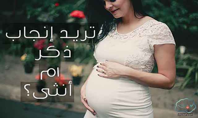 طريقة تحديد جنس المولود