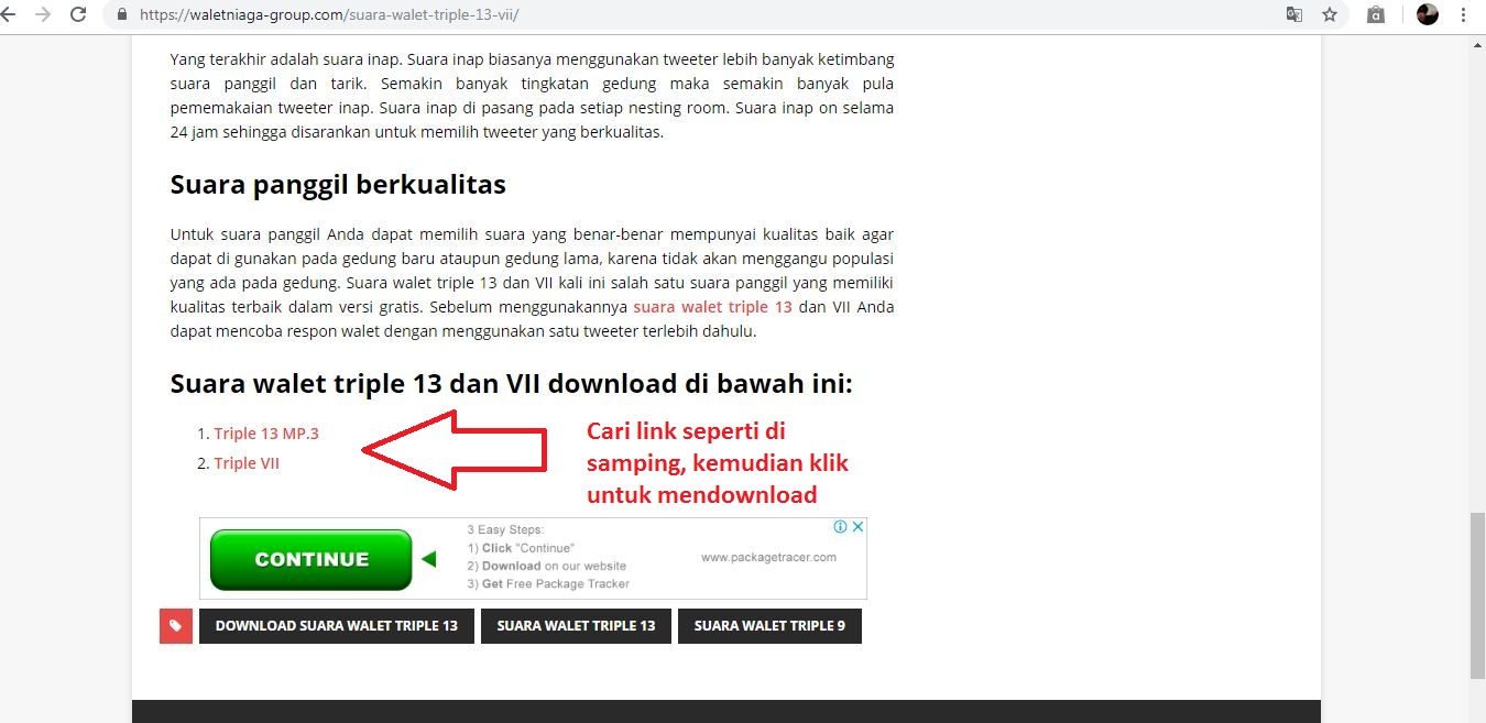 Suara walet thailand mp3 download