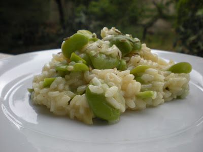 Risotto Fave e semi di Finocchio