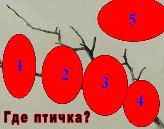 Тест на интуицию в картинках с ответами