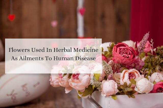 Flowers Used In Herbal Medicine