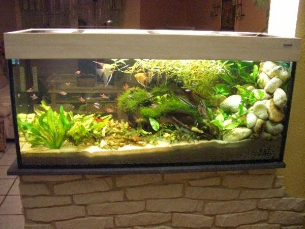 Use aquarium as a room divider – 26 examples.
