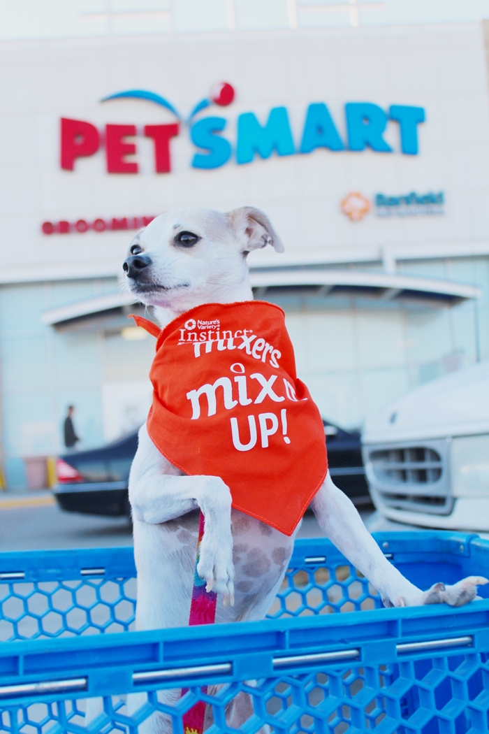 HAPPYHAZEL Let's MixItUp ! Instinct Raw Boost Mixers Review!